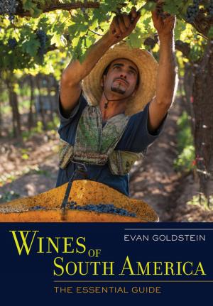 Cover of the book Wines of South America by Paul J. Karlstrom