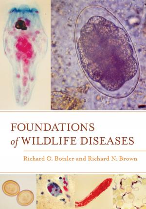 Cover of the book Foundations of Wildlife Diseases by Sarah Eltantawi