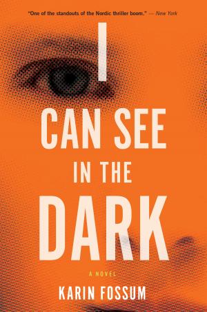 Cover of the book I Can See in the Dark by J. M. Lybyer