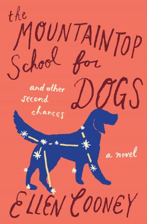 Cover of the book The Mountaintop School for Dogs and Other Second Chances by Cynthia Rylant