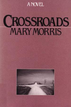 Cover of the book Crossroads by Stephen Krensky