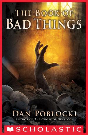 Cover of the book The Book of Bad Things by Mary Casanova