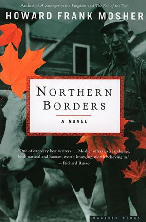 Cover of the book Northern Borders by Vicki Forman