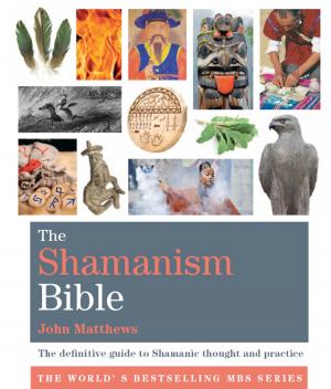 Book cover of The Shamanism Bible
