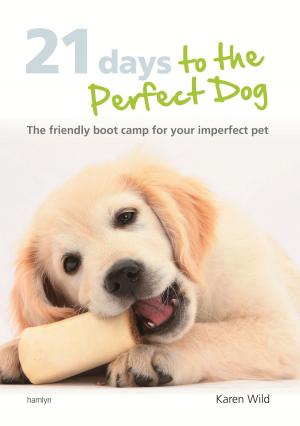 Cover of the book 21 Days To The Perfect Dog by Claire Arrowsmith, Alison Smith
