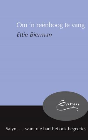 Cover of the book Om ’n reënboog te vang by Adéle van der Merwe, Jeske Wellmann