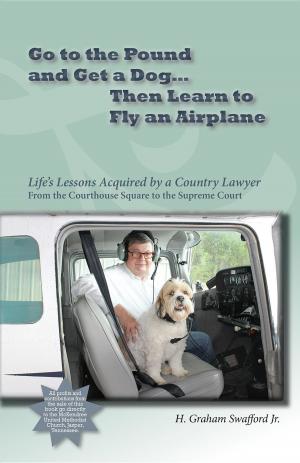 Cover of the book Go to the Pound and Get a Dog Then Learn to Fly an Airplane: Life's Lessons Acquired by a Country Lawyer from the Courthouse Square to the Supreme Court by Anne Budgell