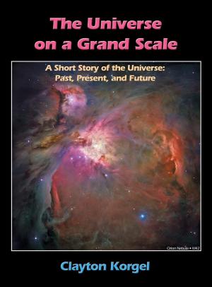 bigCover of the book The Universe on a Grand Scale: A Short Story of the Universe by 