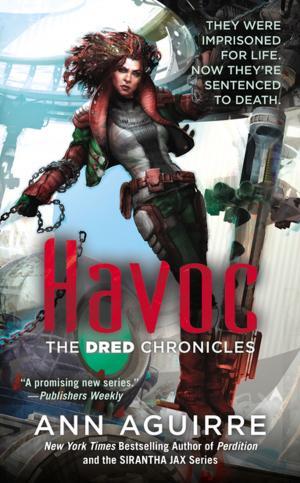 Cover of the book Havoc by David C. Cassidy