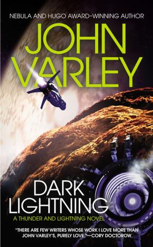 Cover of the book Dark Lightning by David Wigg