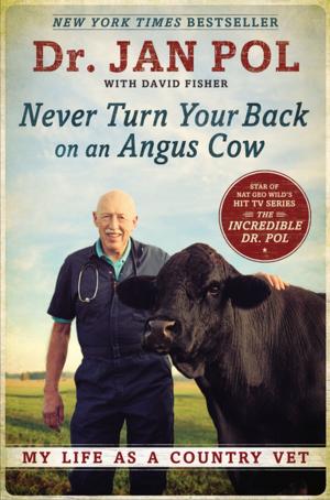 Cover of the book Never Turn Your Back on an Angus Cow by Jill Shalvis