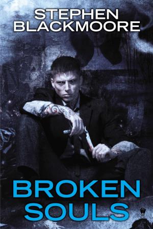 Cover of the book Broken Souls by Irene Radford