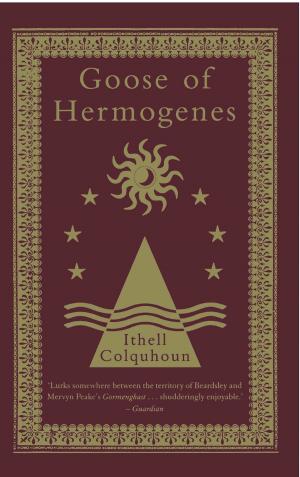 Cover of the book Goose of Hermogenes by Jaan Kaplinski