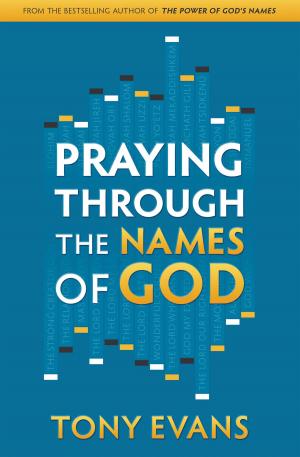 Cover of the book Praying Through the Names of God by Mary J. Murray
