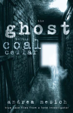 Cover of the book The Ghost in the Coal Cellar by D.J. Conway