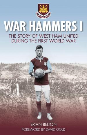 Cover of the book War Hammers by Robert A. Burtness