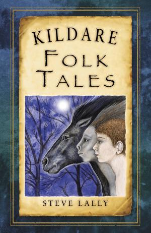 Cover of the book Kildare Folk Tales by Scott Wood