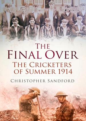 Cover of the book Final Over by Michael Hicks