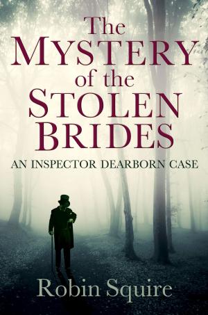 bigCover of the book The Mystery of the Stolen Brides by 