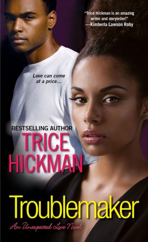 Cover of the book Troublemaker by Samantha A. Cole