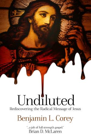 Cover of the book Undiluted by D. Brian Shafer