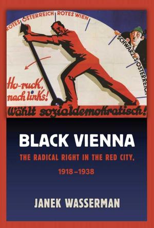 Cover of the book Black Vienna by Nitsan Chorev