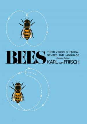 Cover of the book Bees by Mathijs Pelkmans