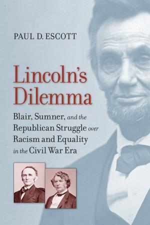 Book cover of Lincoln's Dilemma
