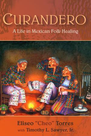 Cover of the book Curandero by Tina Carlson
