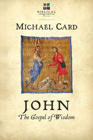 Cover of the book John: The Gospel of Wisdom by E. Randolph Richards, Joseph R. Dodson