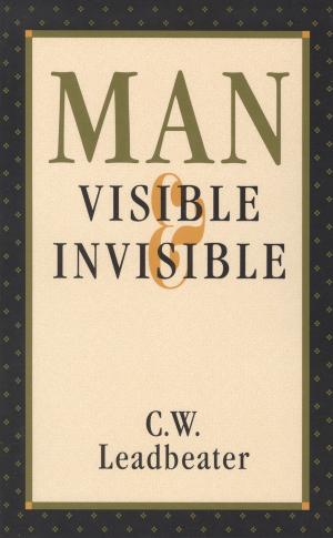 Cover of the book Man, Visible and Invisible by Yannis Toussulis PhD