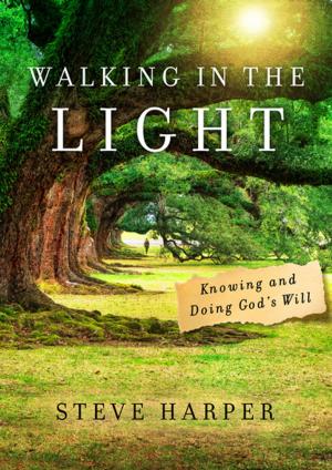 Book cover of Walking in the Light