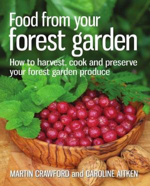 Cover of the book Food from Your Forest Garden by Julia Ponsonby