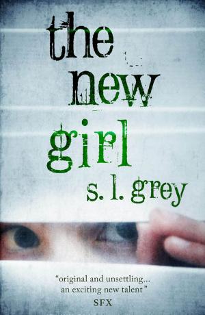 Book cover of The New Girl