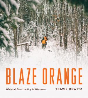 Cover of the book Blaze Orange by Louis V. Clark (Two Shoes)