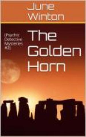Cover of the book THE GOLDEN HORN by Lynne Connolly