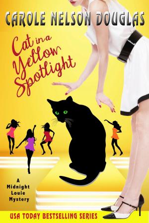 Cover of the book Cat in a Yellow Spotlight by Kathryn R. Biel