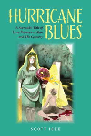 Cover of the book Hurricane Blues by Roberto Saporito