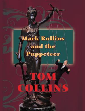Cover of the book Mark Rollins and the Puppeteer by Dan Liebman