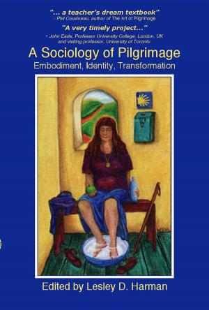 bigCover of the book A Sociology of Pilgrimage by 