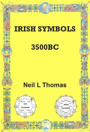 Book cover of Irish Symbols 3500 BC