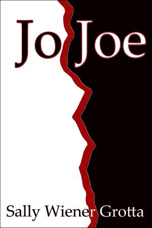 bigCover of the book Jo Joe by 