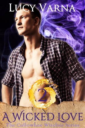 Cover of the book A Wicked Love by Sherilee Gray