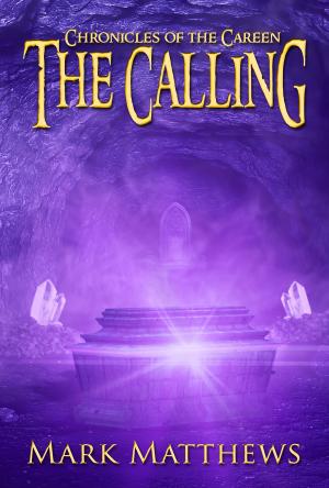 Cover of the book The Calling by H.C. Cavall