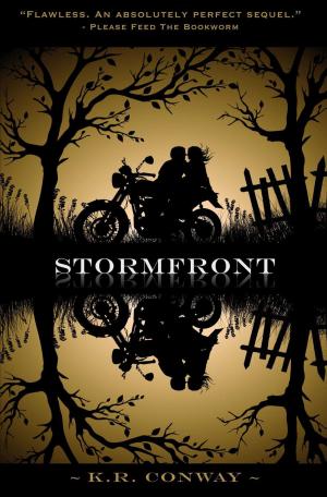 Cover of the book Stormfront by Sawyer Grey