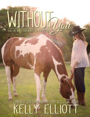Cover of the book Without You by Vallory Vance