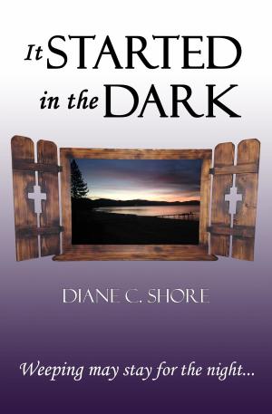 Book cover of It Started in the Dark