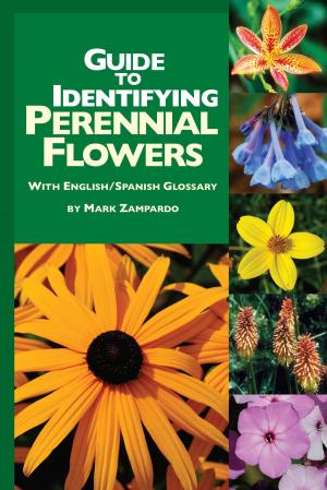 Book cover of Guide to Identifying Perennial Flowers