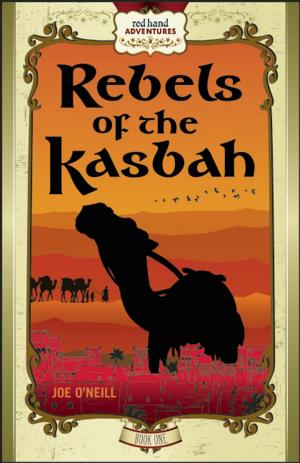 Cover of the book Wrath of the Caid by Rose-Merry Unan