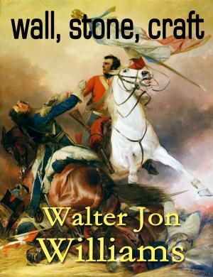 Cover of the book Wall, Stone, Craft by Walter Jon Williams